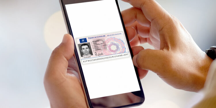 MEPs back updates to EU rules on driving licences to improve road safety | News | European Parliament