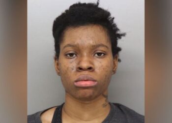 Mother who allegedly killed her 4-year-old faces the death penalty if convicted, Ohio prosecutor says | CNN