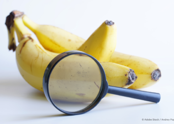 New Genomic Techniques: MEPs back rules to support green transition of farmers | News | European Parliament