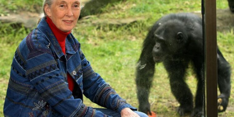 Jane Goodall Fast Facts | CNN