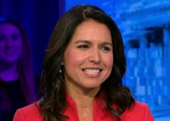 Tulsi Gabbard Fast Facts | CNN Politics