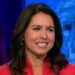 Tulsi Gabbard Fast Facts | CNN Politics