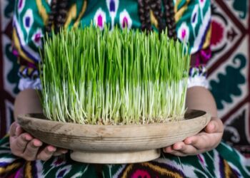 What is Nowruz? Persian New Year traditions and food explained | CNN