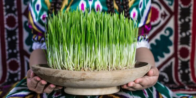 What is Nowruz? Persian New Year traditions and food explained | CNN