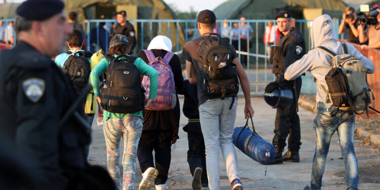 MEPs approve the new Migration and Asylum Pact | News | European Parliament