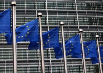 News on the European election results 2024 | CNN