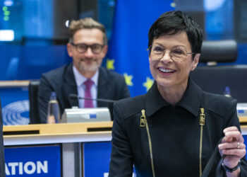 Hearing of Commissioner-designate Marta Kos | News | European Parliament