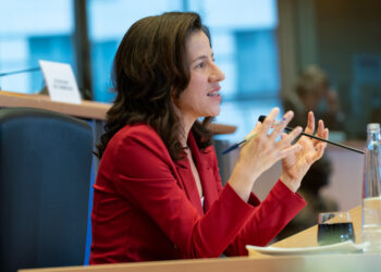 Hearing of Vice-President-designate Roxana Mînzatu | News | European Parliament