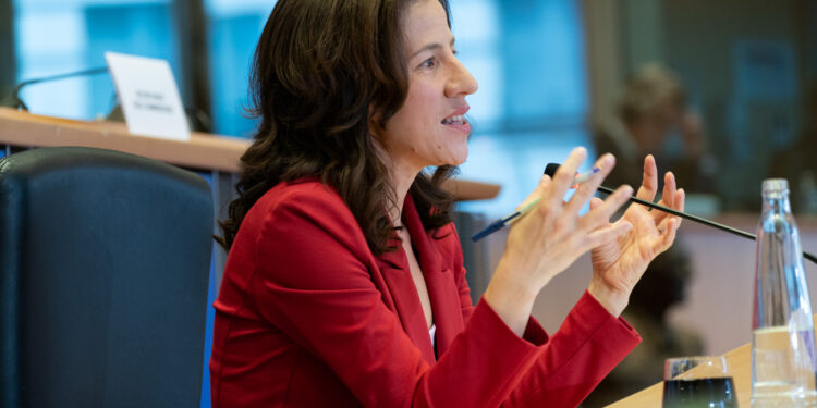 Hearing of Vice-President-designate Roxana Mînzatu | News | European Parliament