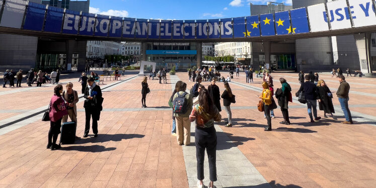 How a voting advice application influenced the 2024 European Parliament election