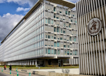 The WHO’s proposed pandemic treaty raises more questions than answers