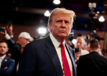 Anand Menon: “The EU is probably big enough to protect itself from Trump’s tariffs. I’m not convinced the UK is.”