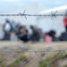 Is the suspension of asylum applications in Greece justified?