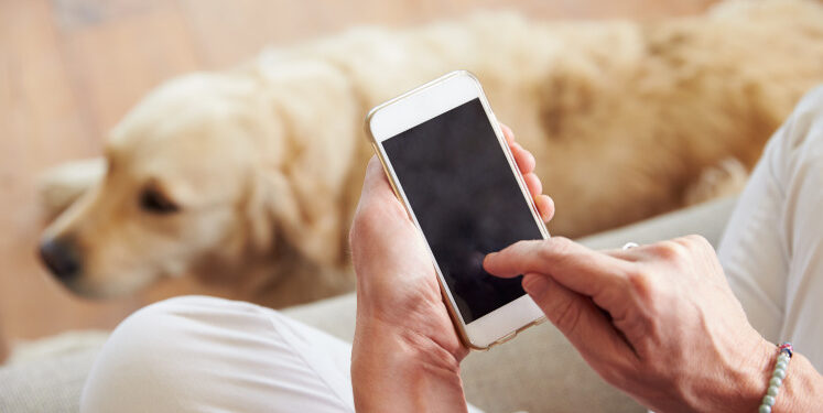 Should you let AI train your dog? The lawless world of AI and animals Should you let AI train your dog? The lawless world of AI and animals