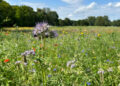 Global biodiversity governance offers a ray of hope for environmental diplomacy – EUROPP