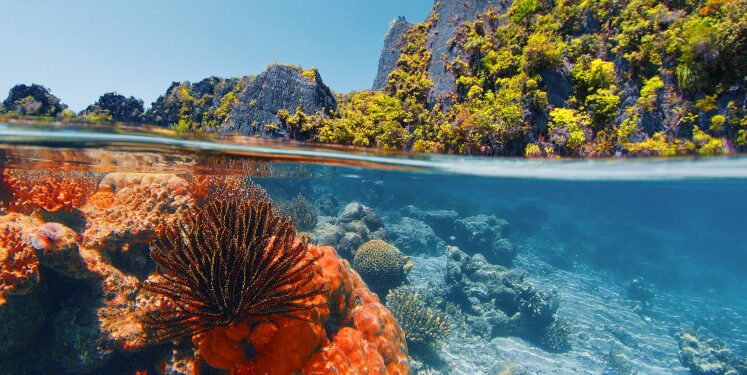 The world is on the cusp of climate tipping points – the stakes could not be higher for COP30 – EUROPP The world is on the cusp of climate tipping points – the stakes could not be higher for COP30 – EUROPP