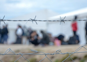 What do citizens think about mistakes in asylum decisions?