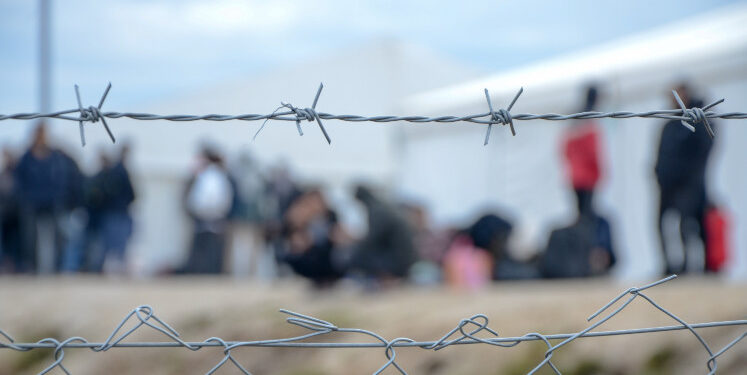 What do citizens think about mistakes in asylum decisions?