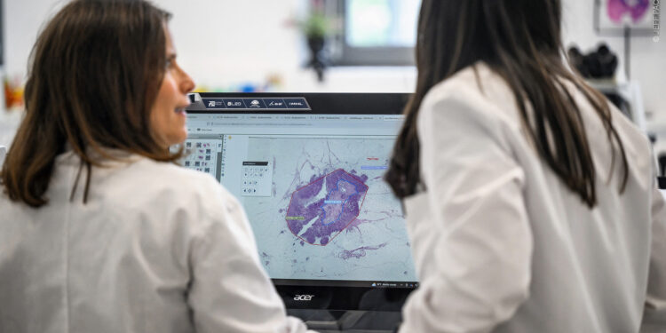 Parliament calls for continued EU action to fight cancer | News | European Parliament