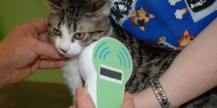 First EU rules to protect cats and dogs from abuses | News | European Parliament