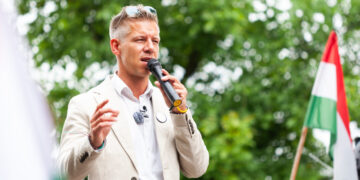 What should we expect from the next Hungarian government? What should we expect from the next Hungarian government?